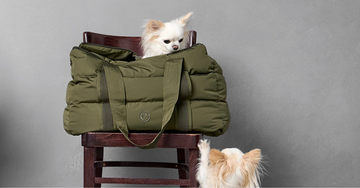 Hundetasker - En komplet guide til valg af hundetaske