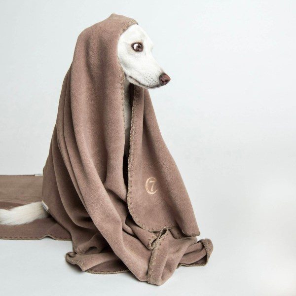 Cloud7 Blanket // Fleece dog blanket (beige)