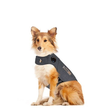 Thundershirt // Calming vest for dogs