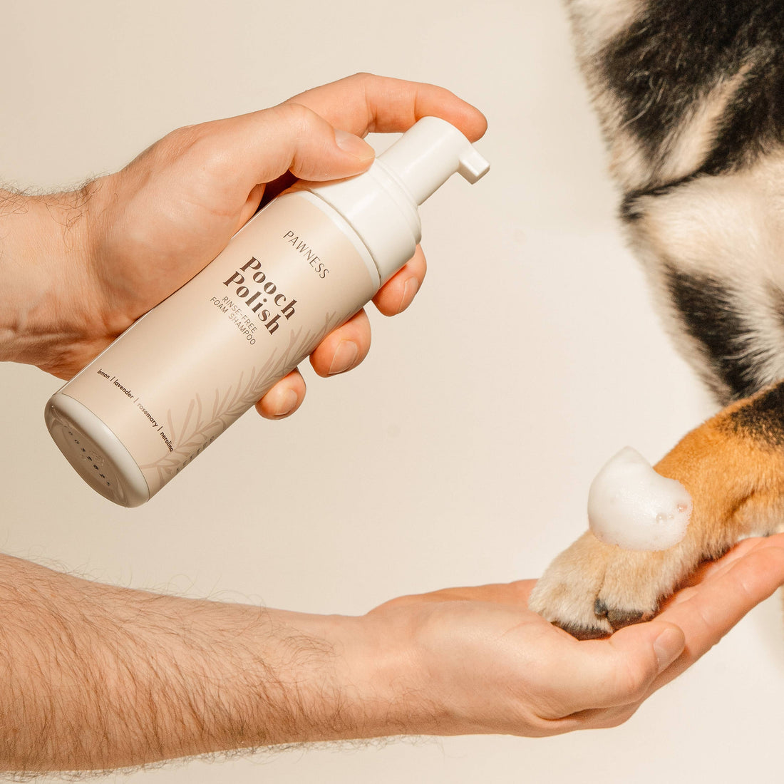 Pawness Pooch Polish // Dry shampoo with natural scent for dogs