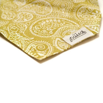 Paisley Fable // Paisley Dog Bandana (lime)