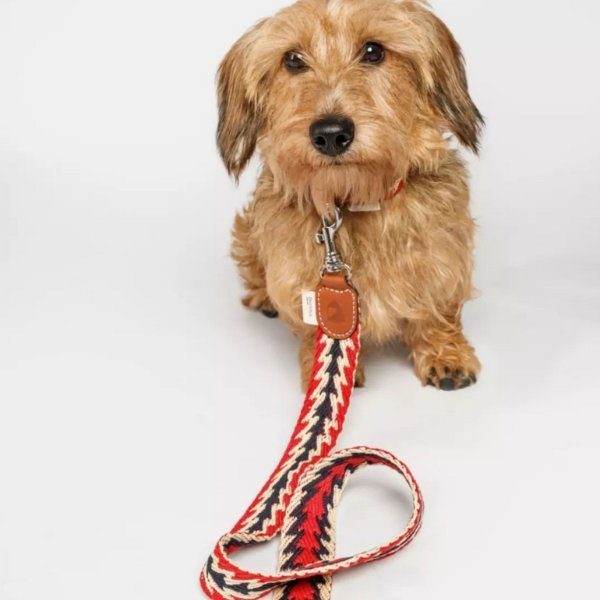 Buddys dogwear // Peruvian Arrow Red elegant dog leash