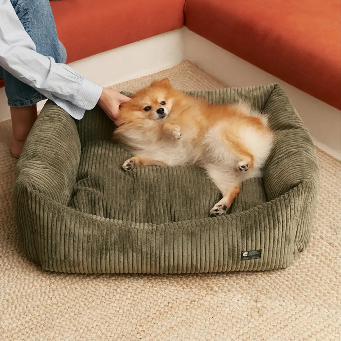 Cafide Snozy // Soft and washable velvet dog bed (green)