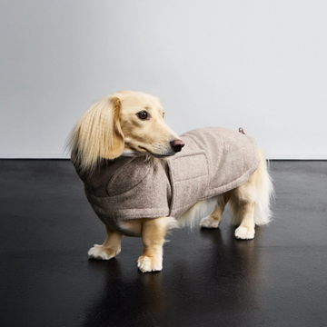 Cloud7 Brooklyn, Dachshund // Warm and waterproof dog jacket (tweed beige)