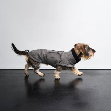 Cloud7 Brooklyn, Dachshund // Warm and waterproof dog jacket (tweed black)