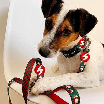 DASHI Santa // Dog leash Christmas edition