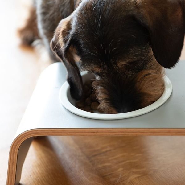 DogBar, Porcelain Bowls // Feeding station for water and food (gray)