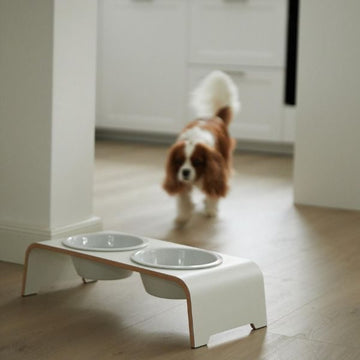 DogBar, Porcelain Bowls // Feeding station for water and food (white)