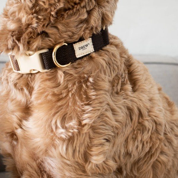 Drew's Dogwear Chocolate // Adjustable collar (dark brown)