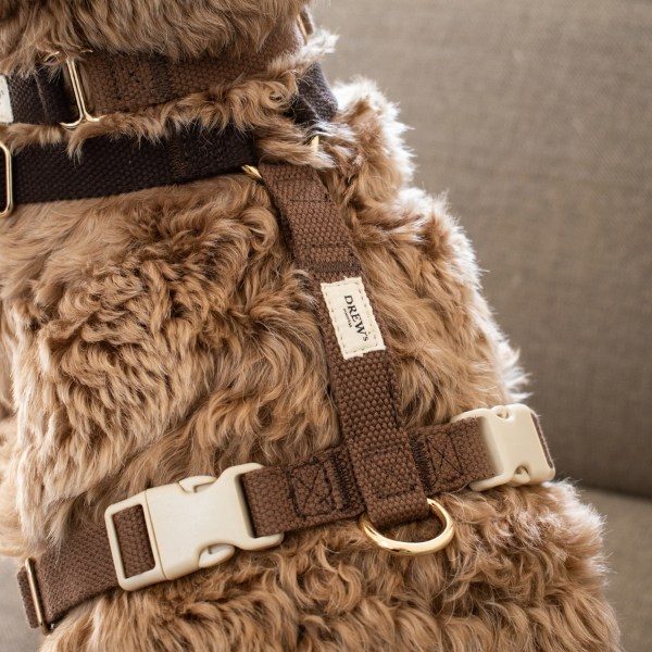 Drew's Dogwear Chocolate // Adjustable Y-harness (dark brown)