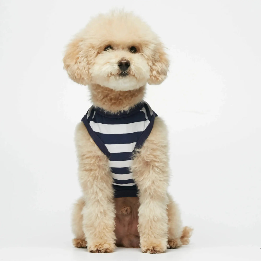 Ellsworth Bodysuit // Dog sweater in organic cotton (navy) M, L