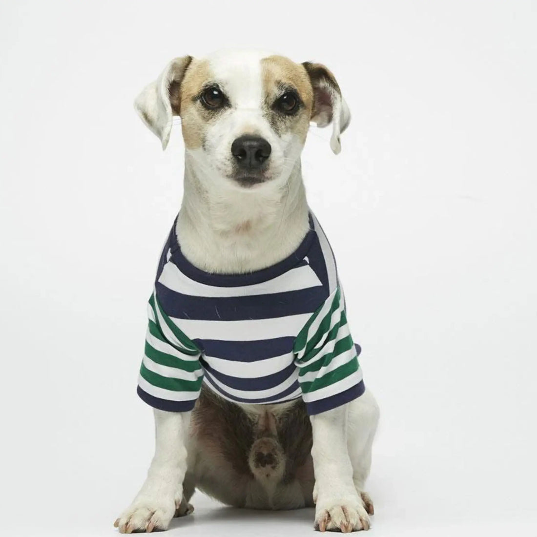 Ellsworth T-shirt // Dog shirt in organic cotton (navy/green)