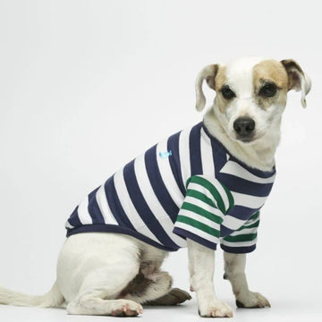 Ellsworth T-shirt // Hundetrøje i økologisk bomuld (navy/grøn)