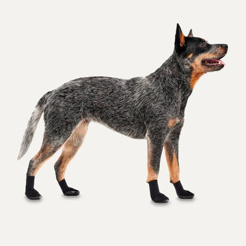 Goo-eez Dog Shoes // All-terrain outdoor dog shoes (2 pcs.)