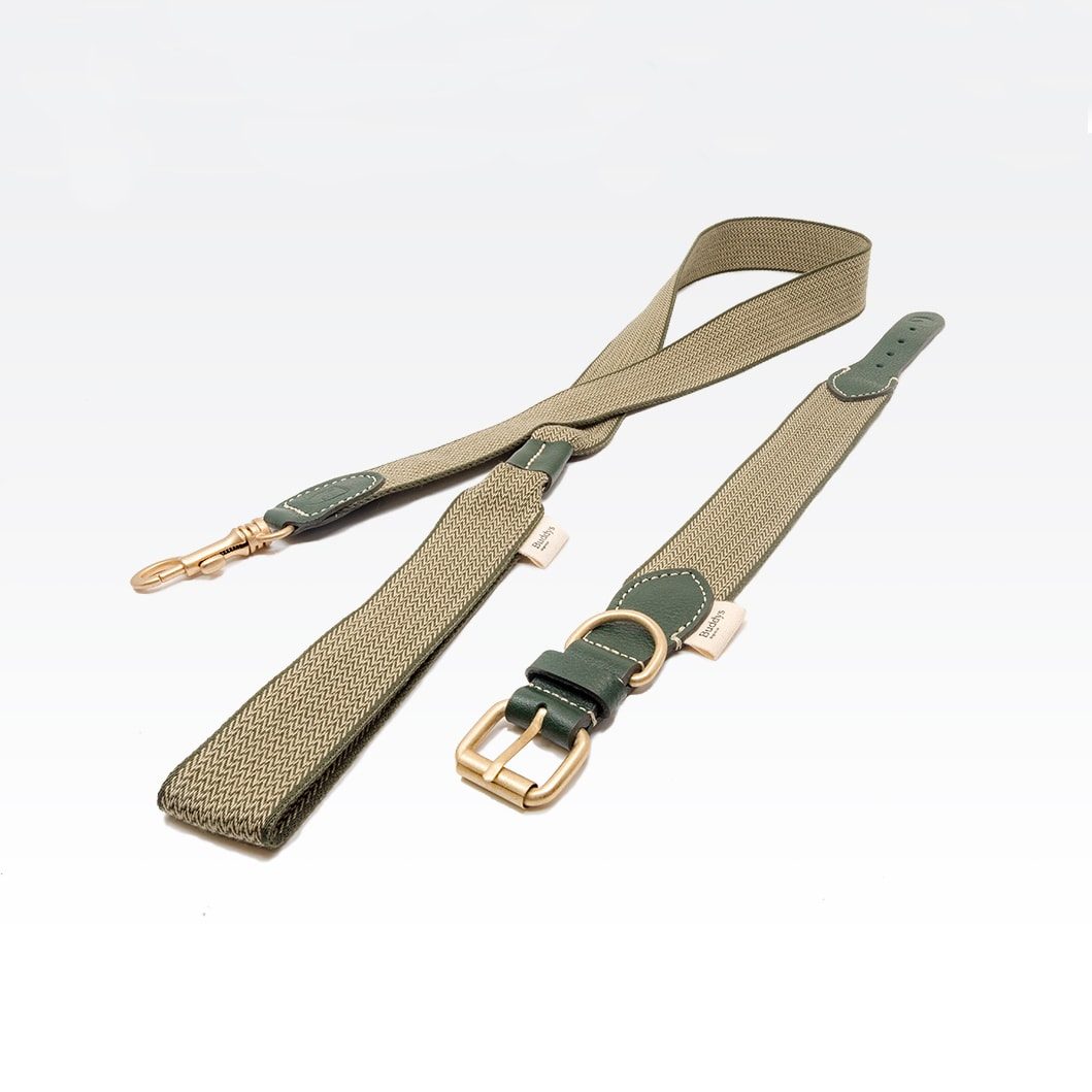 Buddys dogwear // James green dog leash
