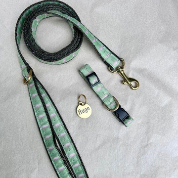 Puppy set // Puppy collar, puppy leash and dog tag (flamingo)