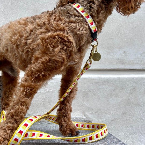My First Leash // Handmade puppy leash (French fries)