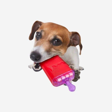 Ice Lolly // Cooling activity toy for hot days
