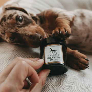 LILA LOVES IT // Paw wax for care and protection of dog paws