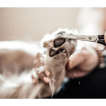 Lila Loves It // High-quality paw scissors
