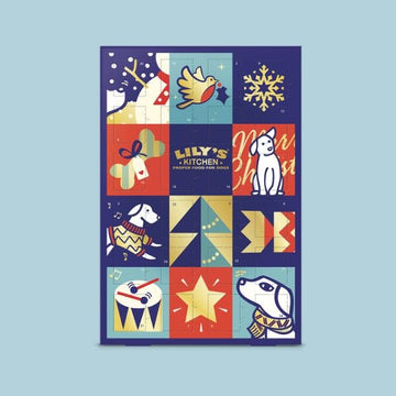 Lily's Kitchen Advent Calendar 2023 // Tasty Advent Calendar for Dogs