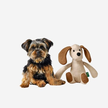 Hunter Marle // Recycled Felt Teddy Toy (Dog)