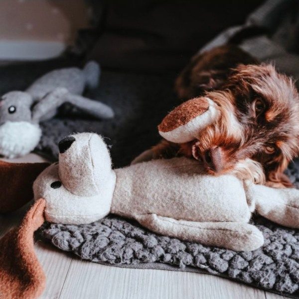 Hunter Marle // Recycled Felt Teddy Toy (Dog)