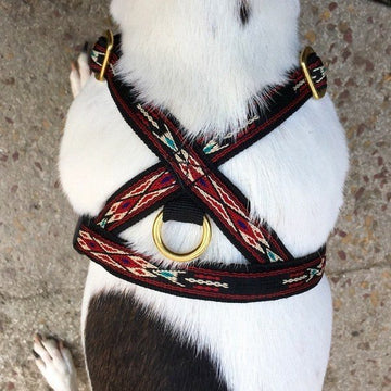 Marrakesh 2 // Dog harness in red and black