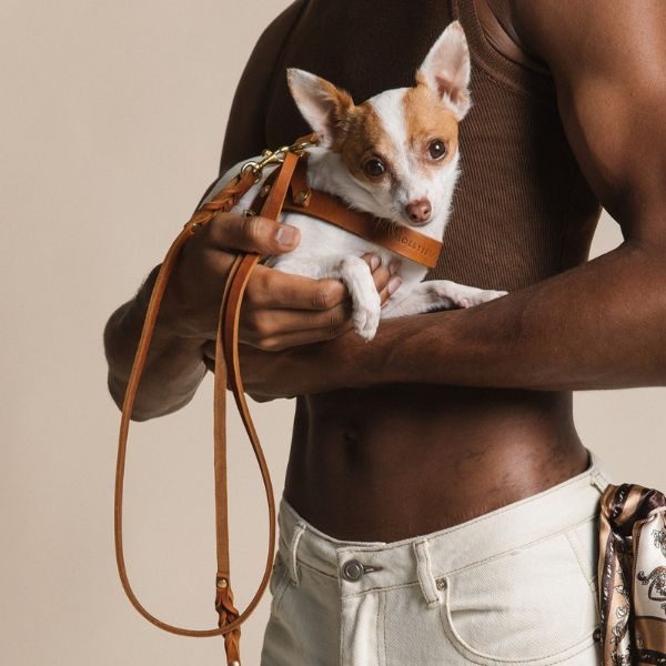 Butter Sahara // Adjustable dog leash in soft leather (cognac)