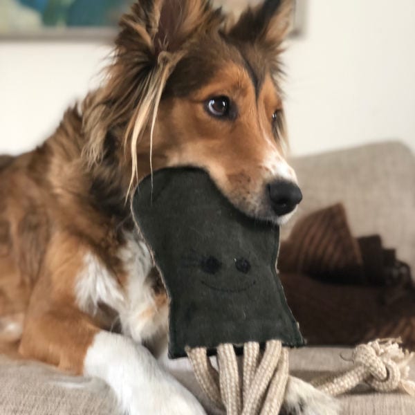 Olive the Octopus // Natural and \"crunchy\" dog toy