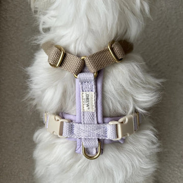 Drew's Dogwear Pro // Justerbar y-sele (lavendel)