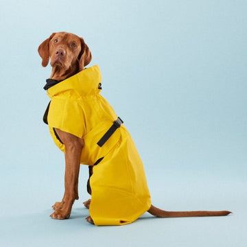 PAIKKA Rain // Functional and reflective rain coat for dogs (yellow)