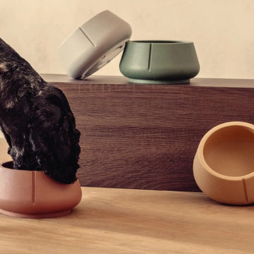 Pino Bowl // Spildfri hundeskål til lange ører (green)