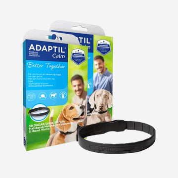 Adaptil calm on-the-go collar // helps your dog feel safe at home and away