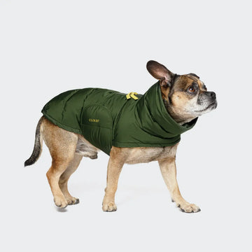Cloud7 Alaska // Warm Winter Jacket for French Bulldogs (charcoal) (Kopier)