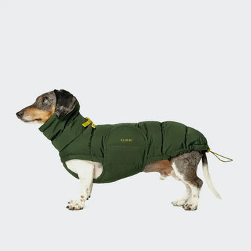 Cloud7 Alaska // Warm dog jacket for dachshund (olive) (Kopier)