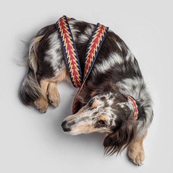 Buddys dogwear // Peruvian Arrow blue dog leash