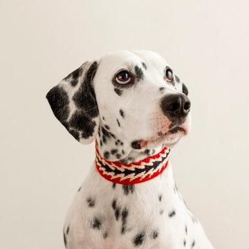 Buddys Dogwear // Peruvian Arrow Red Dog Collar