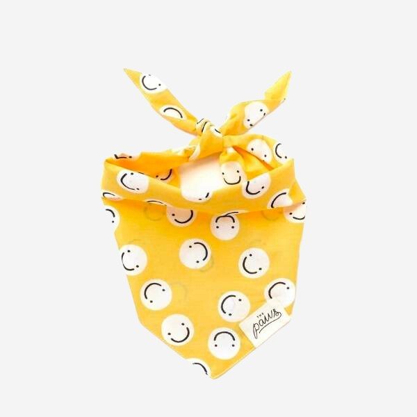 Friendship // Dog bandana with smileys