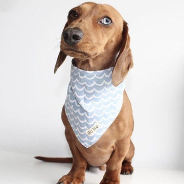 Perfect Wave Bandana // Dog bandana with waves