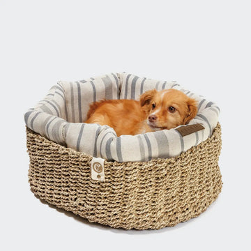 Cloud7 Basket Lazy // Round dog basket with soft inner cushion (black) (Kopier)