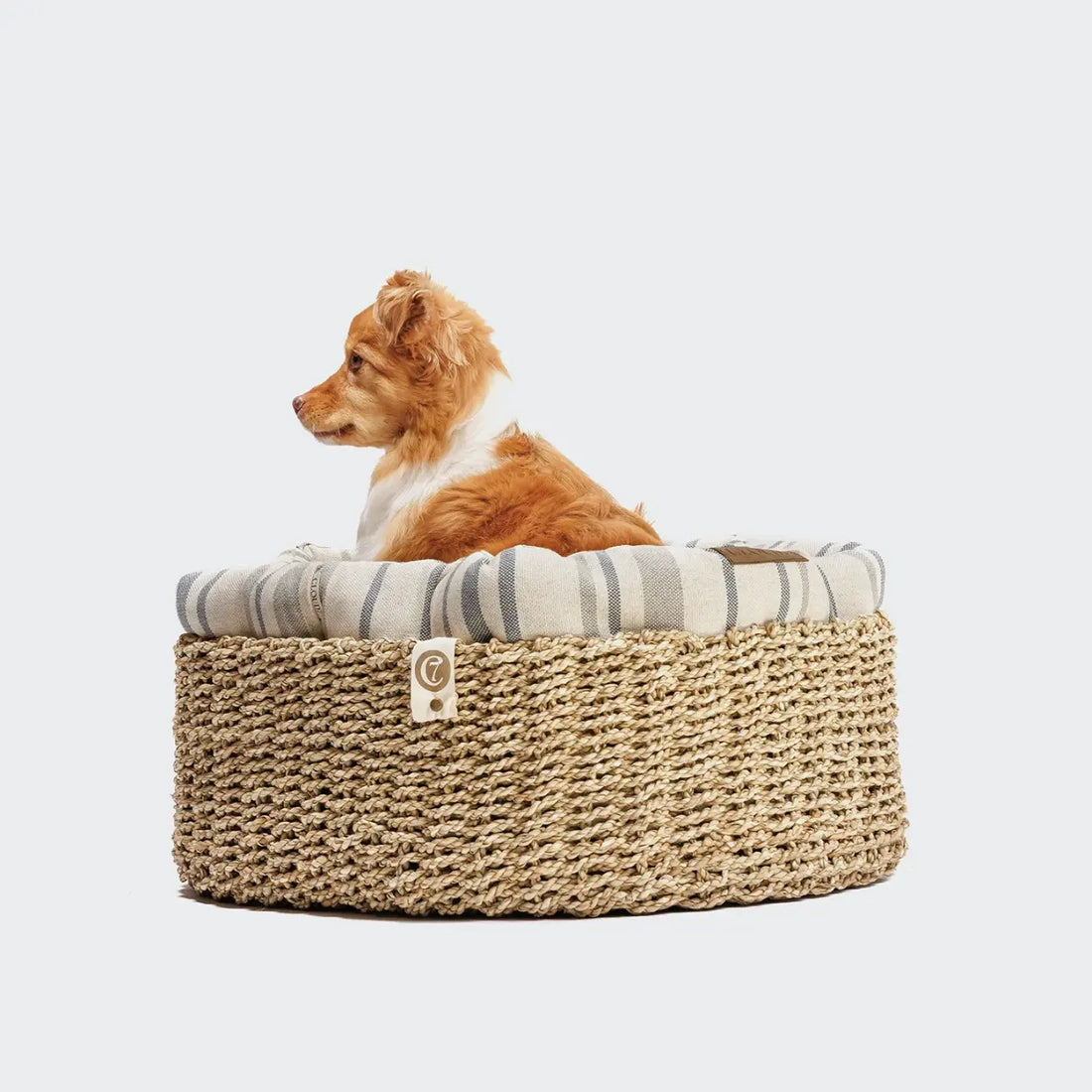 Cloud7 Basket Lazy // Round dog basket with soft inner cushion (black) (Kopier)