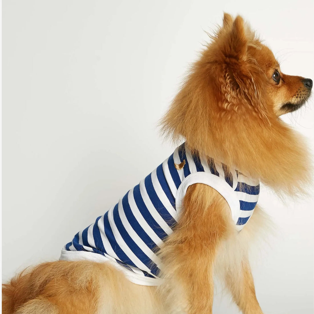Daniel Bodysuit // Dog sweater in organic cotton (blue)
