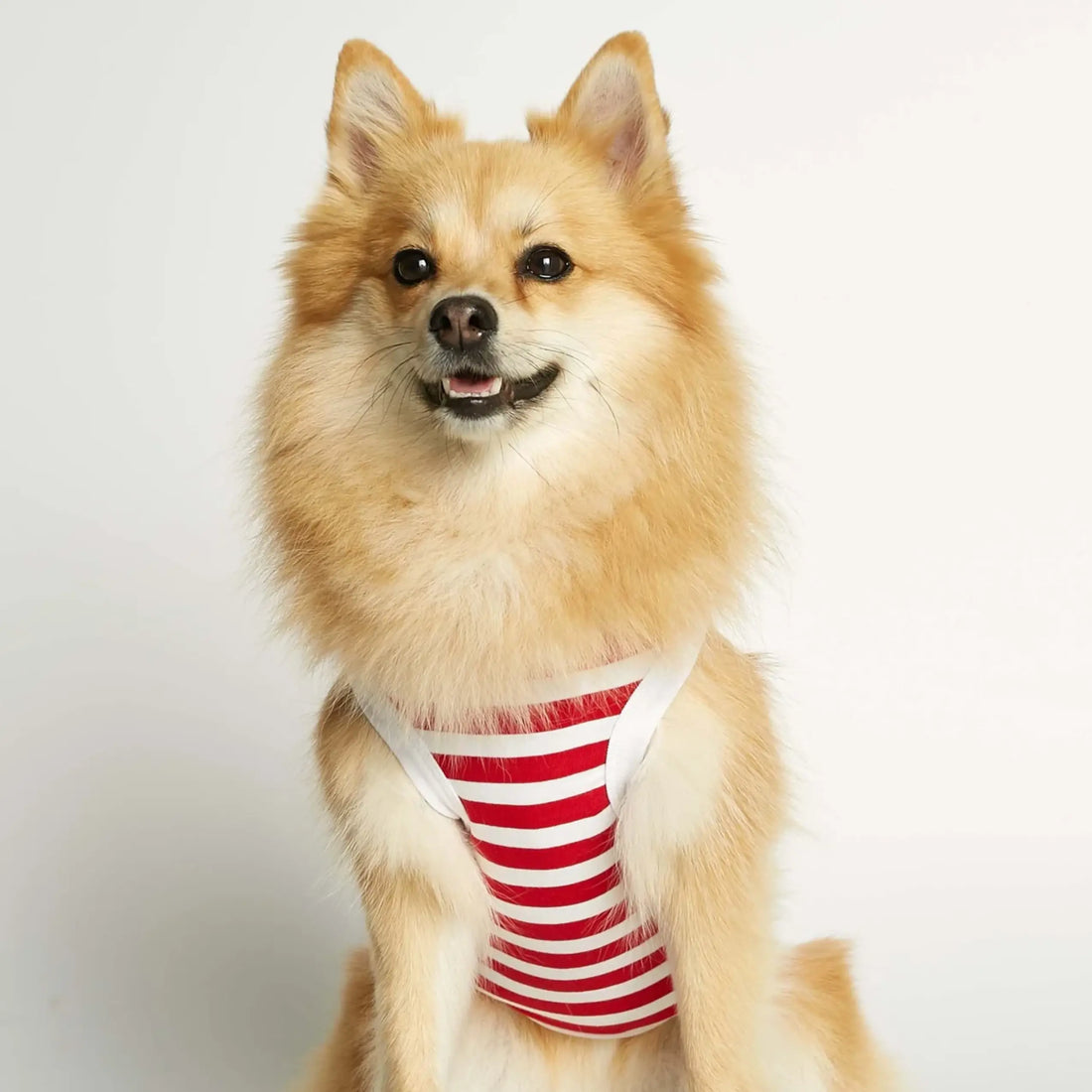 Daniel Bodysuit // Dog sweater in organic cotton (red)