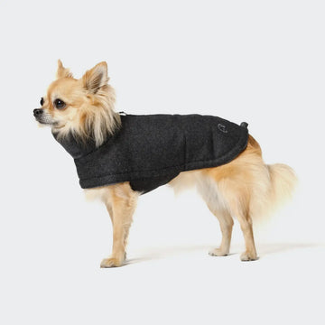 Cloud7 Brooklyn // Warm dog jacket (flannel anthra)