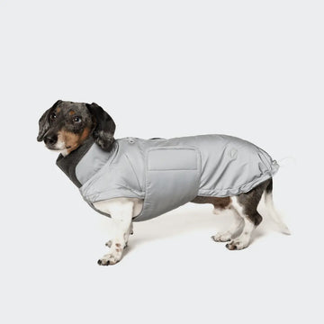 Cloud7 Brooklyn // Warm dog jacket for dachshund (reflective)