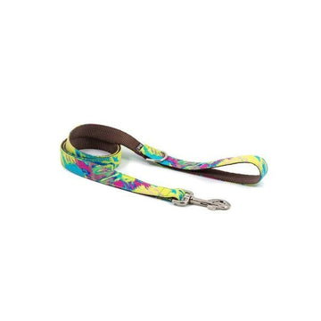 Brott Montjoi // Classic dog leash with lots of color
