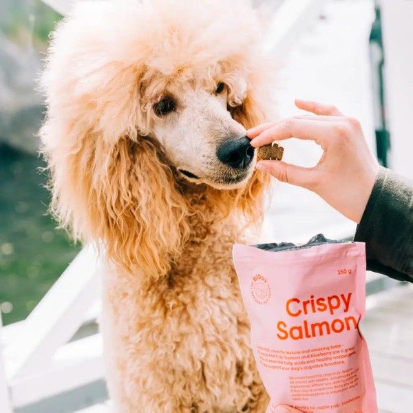 Buddy Crispy Salmon // Crispy treats with salmon and peas