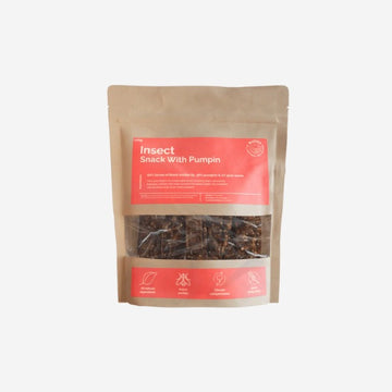 Buddy Insect // Tyggesnack med insekter og græskar