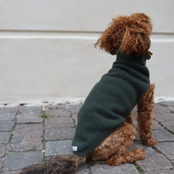 Calimar Sweater // Knitted dog sweater in wool (dark green)